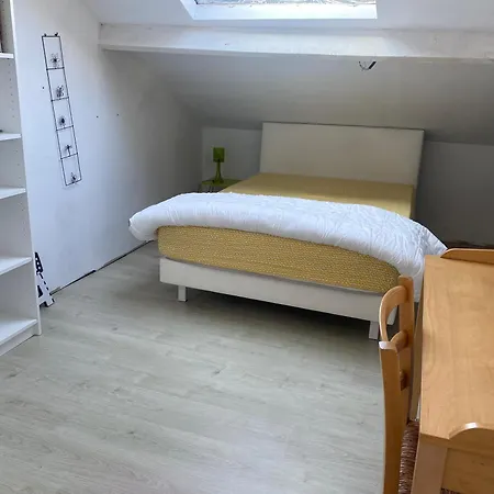 Avec Acces Terrasse Et Piscine * Nizza